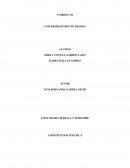 Acción de Tutela por Recolección de Basuras