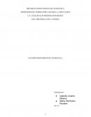 Descripción de cada uno de los estados fronterizos de Venezuela