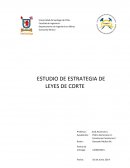 ESTUDIO DE ESTRATEGIA DE LEYES DE CORTE