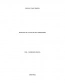 ENRON DESDE LA PERSPECTIVA DE LA CORRUPCION
