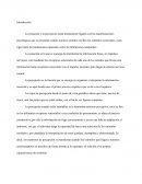 Introducción: Manifestaciones psicologías