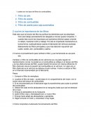 Taller de filtracion