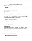 Historia Natural de Quemadurs