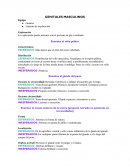 Genitales masculinos caso