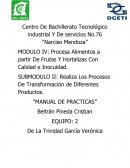 Realiza Los Procesos De Transformación de Diferentes Productos. “MANUAL DE PRACTICAS”