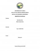 Injerto de Astilla Raul Bacuilima Nidia Campoverde