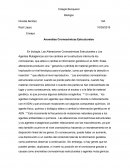 Alteraciones cromosomicas estructurales