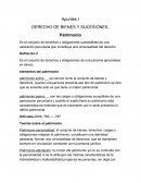 Apuntes I DERECHO DE BIENES Y SUCESIONES.
