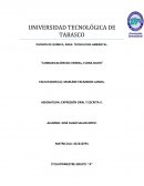 Etica para amador "COMUNICACIÓN NO-VERBAL, FLORA DAVIS"