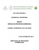SERVIVIO AMBIENTAL