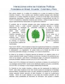Interacciones Iniciativas Políticas Forestales