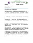 Importancia de los crustáceos