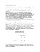 ¿Alguien se hecha un tenis?