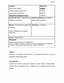 Fundamentos de cadena de suministro. Actividad