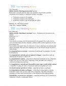 Hacer frente a posibles incidencias en los equipos y a mantenerse siempre conectado