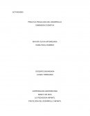 Actividades relacionadas con la dimension cognitiva