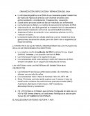 ORGANIZACIÓN, REPLICACION Y REPARACION DEL DNA