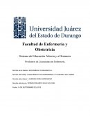 CONOCIMIENTO EN ENFERMERIA Y PATRONES DEL SABER.
