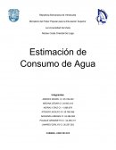 Estimación de Consumo de Agua