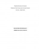 LAS ASOCIACIONES PROFESIONALES Y GREMIOS DEL SECTOR TURISTICO