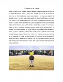 El esfuerzo de Steve