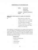 INFORME PERICIAL N°317-2015-OPJSM-CSJJU/PJ