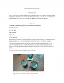 Tema: Tiempo de Fraguado