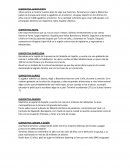 Pechakucha Futbol uruguayo