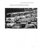 Importancia de la seguridad vial