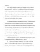 Principios de la investigacion