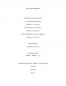 SOLUCIONES EPISTEMOLOGIA DE LAS CIENCIAS