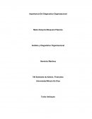 IMPORTANCIA DEL DIAGNOSTICO ORGANIZACIONAL