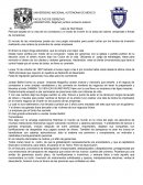 El lobo de wall stret