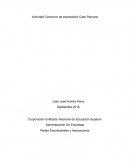 Actividad Consorcio de exportación Caso Peruano