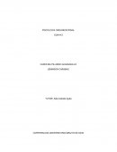 Características del líder y su equipo colaborativo.