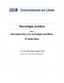 Sociologia juridica ensayo