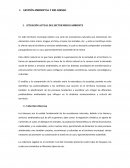GESTIÓN AMBIENTAL Y DEL RIESGO