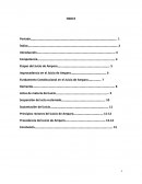 Ensayo Juicio de Amparo