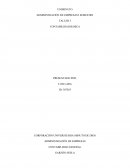 TALLER 3 : Contabilidad basica