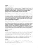 Trabajo practico de enfermeria