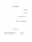 Tarea Grupal # 1 Sociología