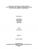 Protocolo de lavado de manos antes de entrar a cirugia
