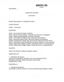 Acta e informes de comité de archivo