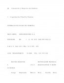 FORMATO DE PAGO DE NOMINA