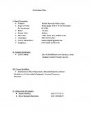 Curriculum Vitae: tutorial