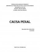 TEMA: CAUSA PENAL