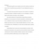 Estudio de la población venezolana