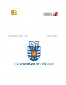 Contexto Institucional Universidad del Bío-Bío