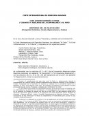 ENSAYO SOBRE EL NUEVO CORTE INTERAMERICANA DE DERECHOS HUMANOS