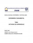 Enfermeria fundamental ensayo